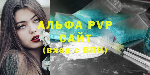 стаф Артём