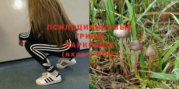 COCAINE Дмитриев