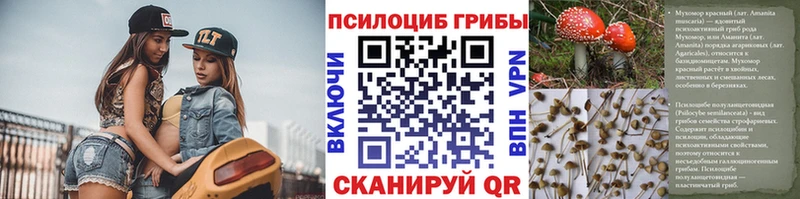 наркотики  Каменногорск  Псилоцибиновые грибы мухоморы 